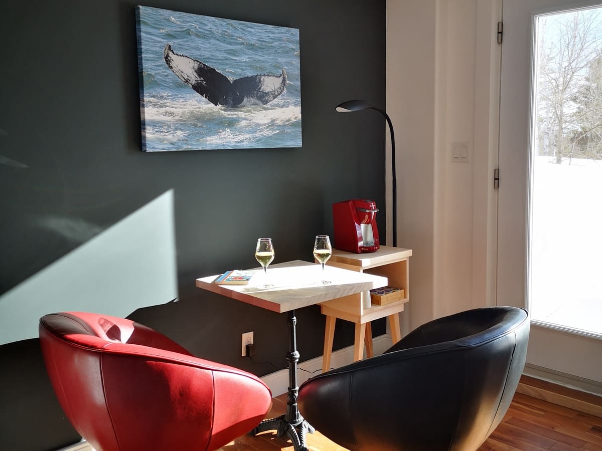 Chambre Rorqual à bosse – photo 2