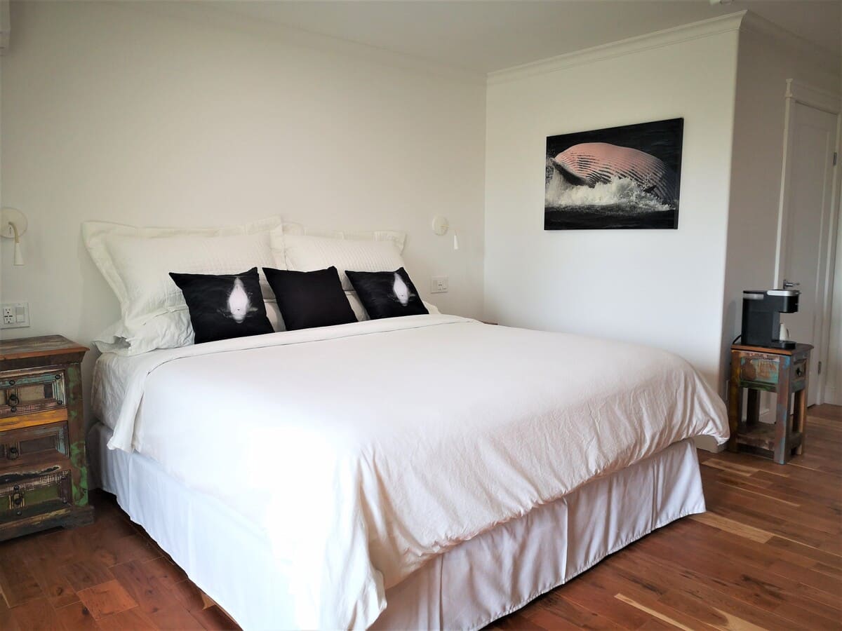 Chambre Rorqual Commun – photo 5