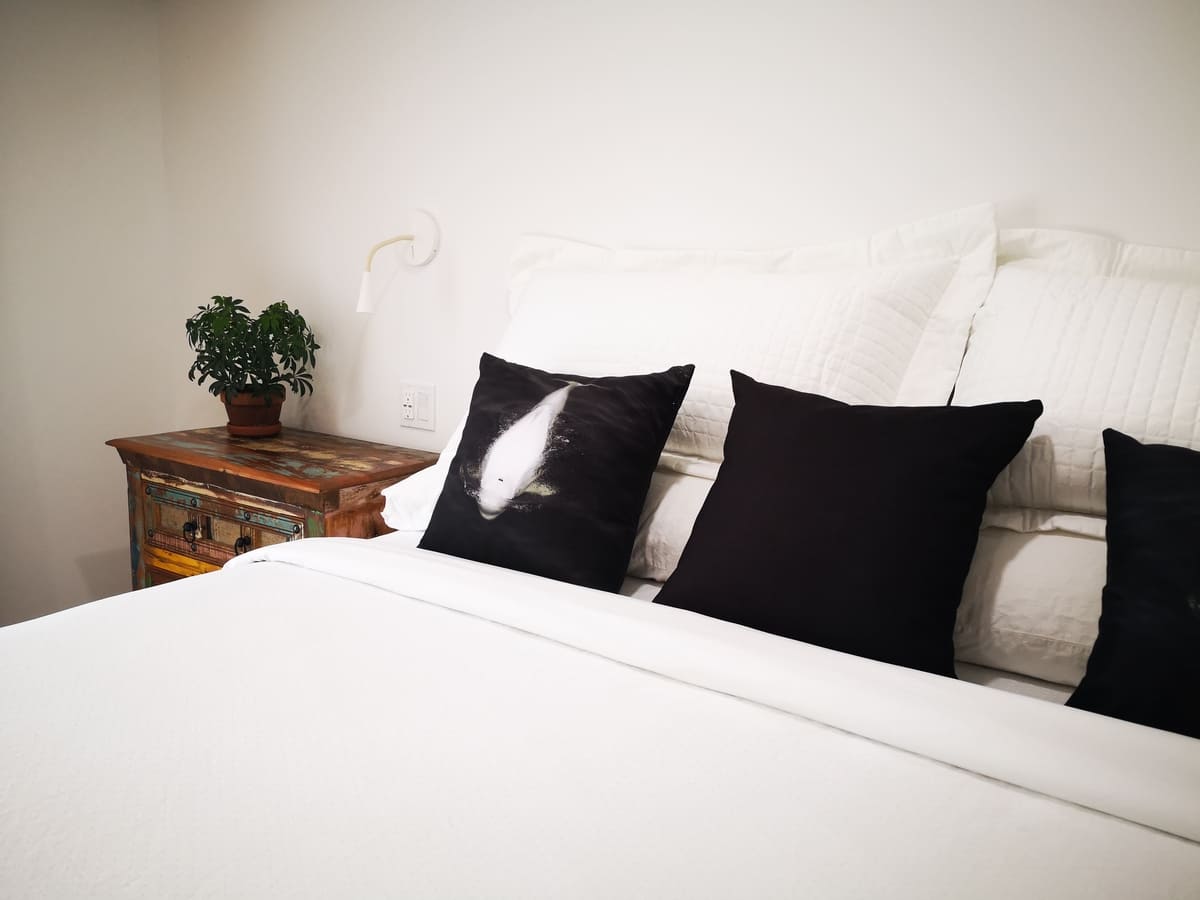 Chambre Rorqual Commun – photo 8